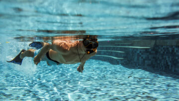 Все о плавании: польза, вред и кому не подходит этот вид спорта